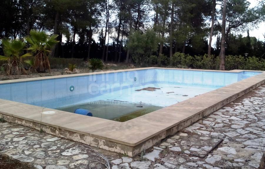 Venta - Finca - Ontinyent