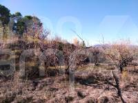 Te koop - Rustiek land - Benillup