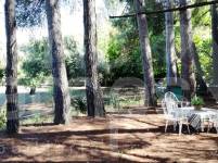 For sale - Finca - Alcoy