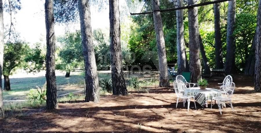 For sale - Finca - Alcoy
