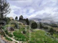 Venta - Finca - Cocentaina