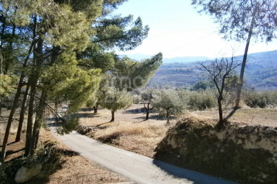 Venta - Finca - Cocentaina