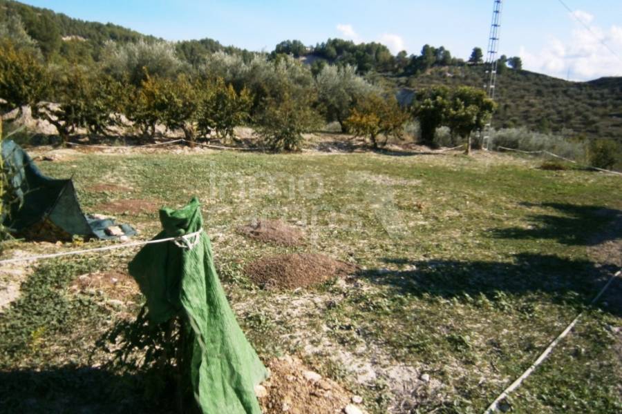 Te koop - Landhuis - Millena