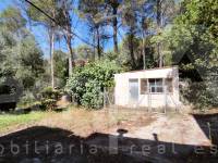 Venta - Casa de Campo - Villalonga