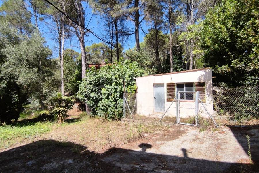 Venta - Casa de Campo - Villalonga