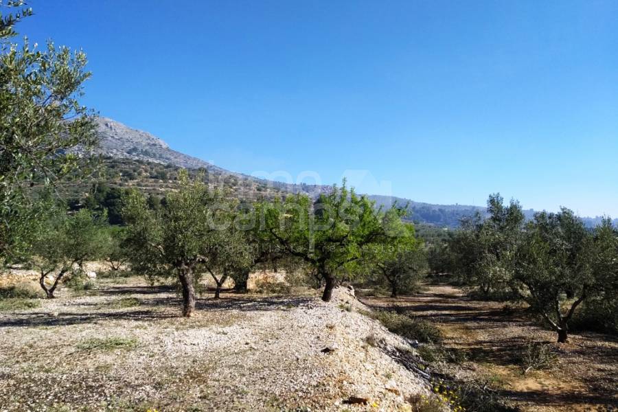 Venta - Casa de Campo - Beniarres