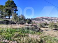 For sale - Country House - Benifallim