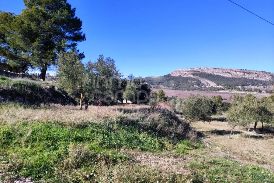 For sale - Country House - Benifallim