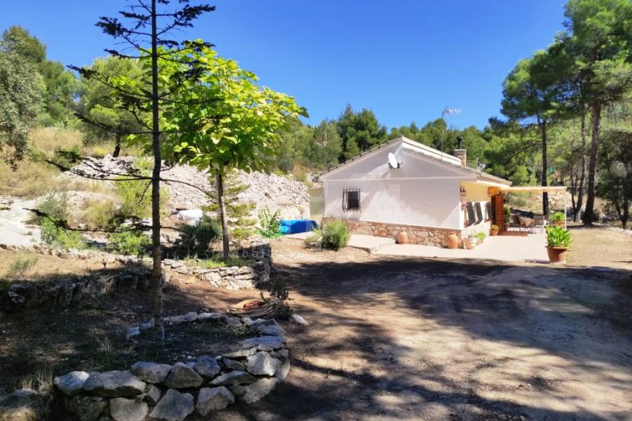 Venta - Casa de Campo - Alcoy