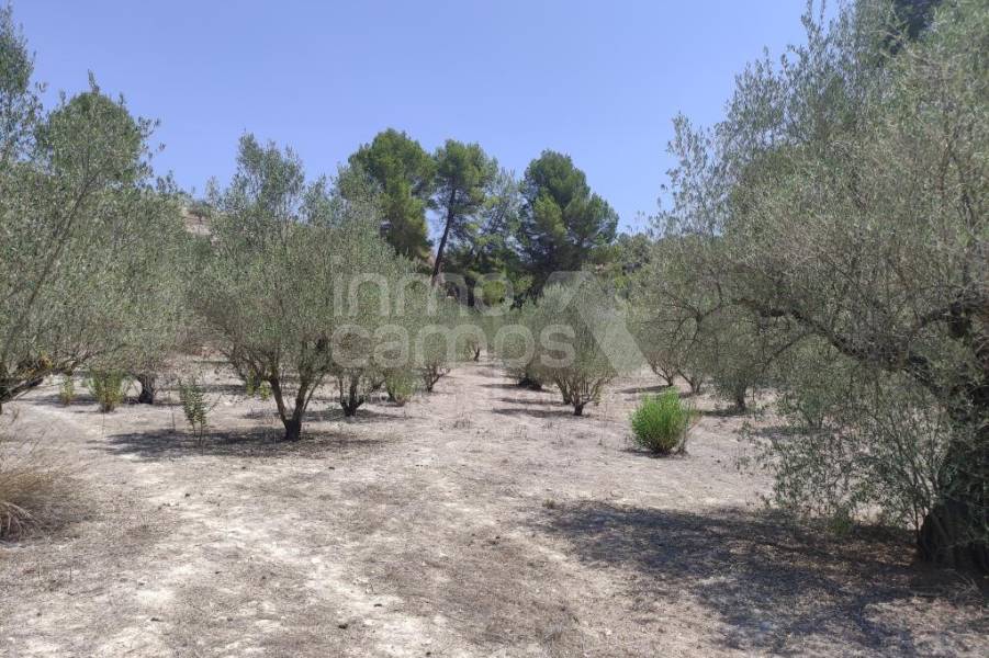 For sale - Country House - Cocentaina