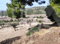 Venta - Finca - Torremanzanas