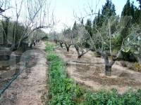 For sale - Country House - Ontinyent