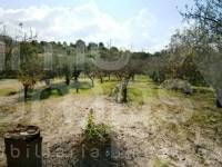 For sale - Country House - Ontinyent