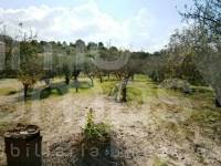 For sale - Country House - Ontinyent