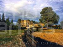 Venta - Finca - Ontinyent