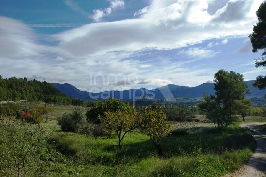 For sale - Finca - Benilloba