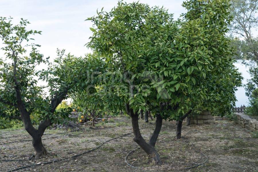 Venta - Casa de Campo - Pego