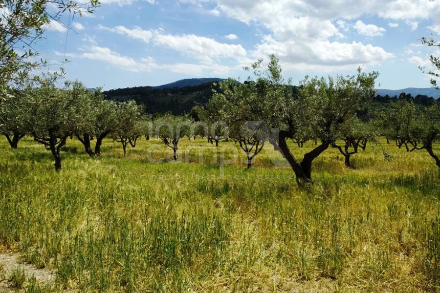 Venta - Finca - Cocentaina