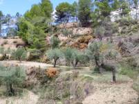 Te koop - Landhuis - Benasau