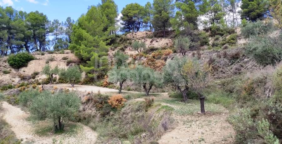 Te koop - Landhuis - Benasau