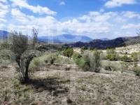 Venta - Casa de Campo - Planes