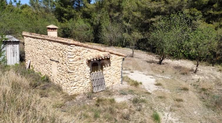 Rustic Land - For sale - Penáguila - Penáguila