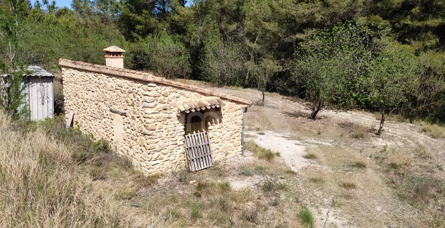 For sale - Rustic Land - Penáguila