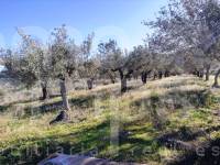 For sale - Country House - Benifallim