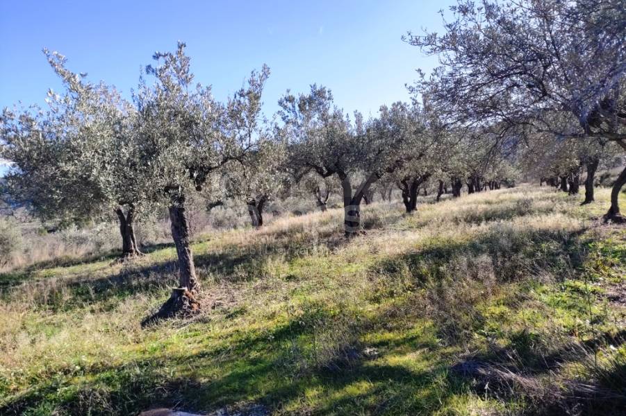 For sale - Country House - Benifallim