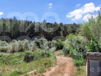 Venta - Finca - Bocairent