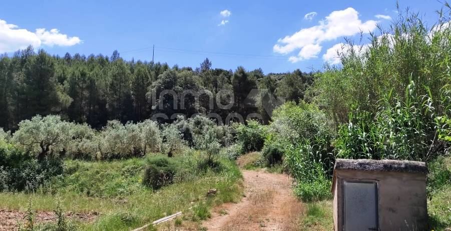 Venta - Finca - Bocairent