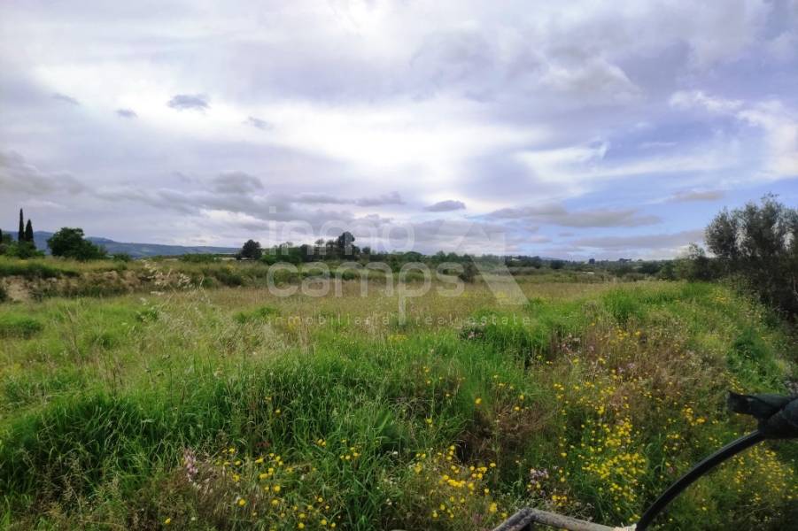 Te koop - Landhuis - Albaida