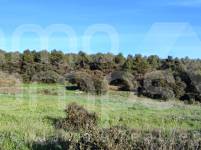 For sale - Finca - Bocairent
