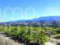 Te koop - Finca - Albaida