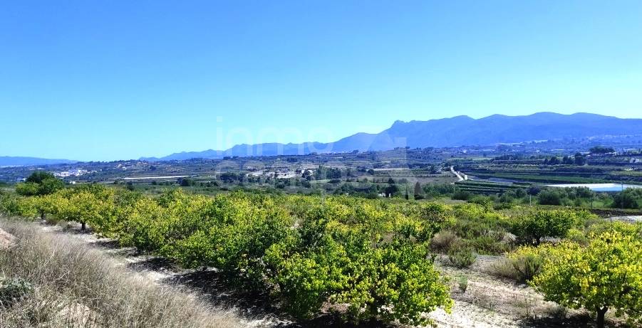 Te koop - Finca - Albaida