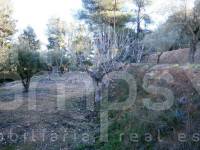 Venta - Casa de Campo - Agres