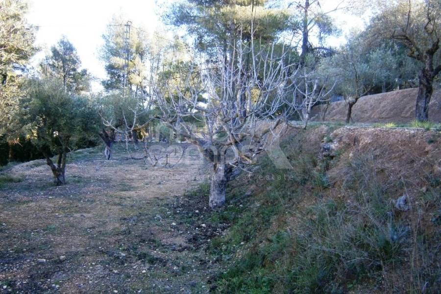 Venta - Casa de Campo - Agres