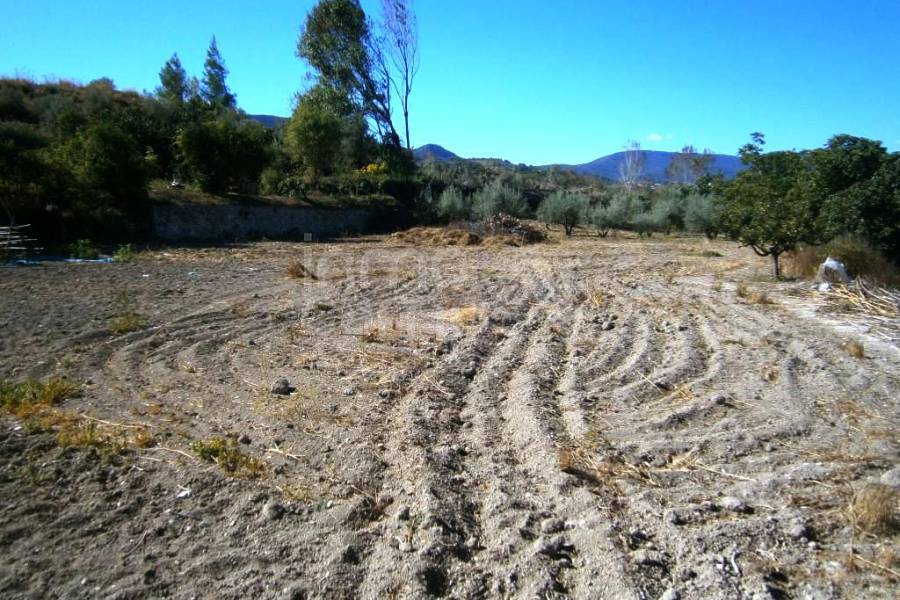 Venta - Casa de Campo - Cocentaina