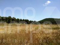 Venta - Finca - Bocairent