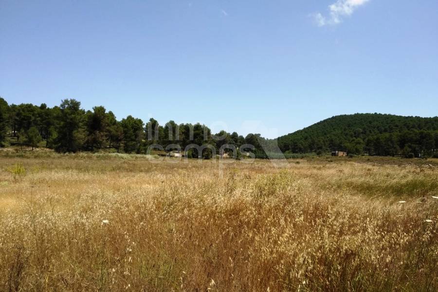 Venta - Finca - Bocairent