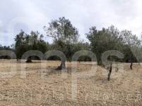 For sale - Rustic Land - Penáguila