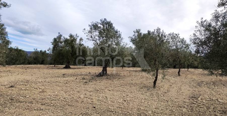 For sale - Rustic Land - Penáguila