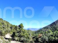 Te koop - Finca - Alcoy