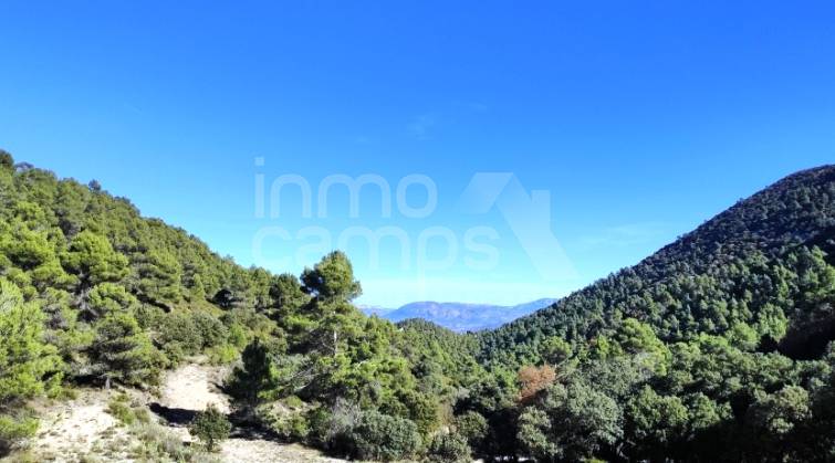 Finca - For sale - Alcoy - Alcoy