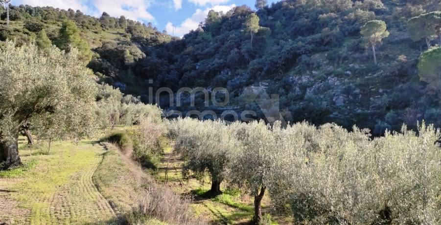 For sale - Finca - Bocairent