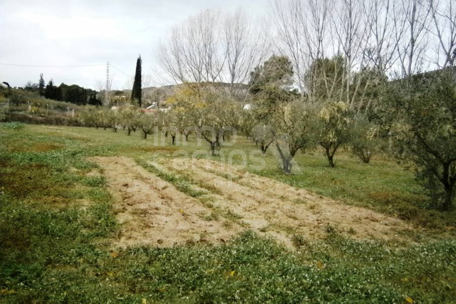 Venta - Casa de Campo - Muro de Alcoy