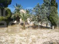 Te koop - Finca - Ontinyent