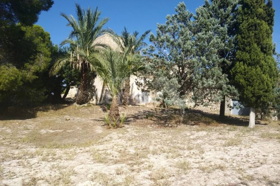 Te koop - Finca - Ontinyent