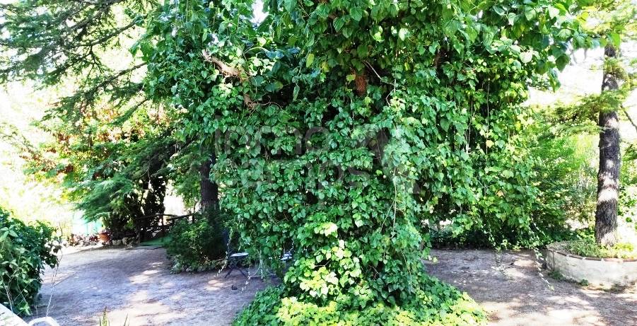 For sale - Finca - Alcoy