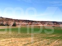 Te koop - Rustiek land - Agres